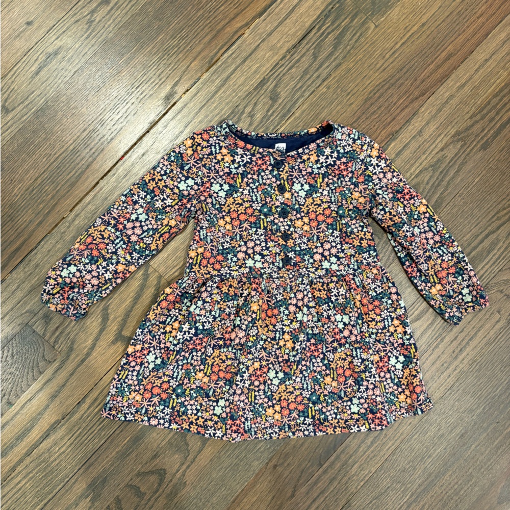 Tea Collection Floral Dress size 18-24mo (family matching)